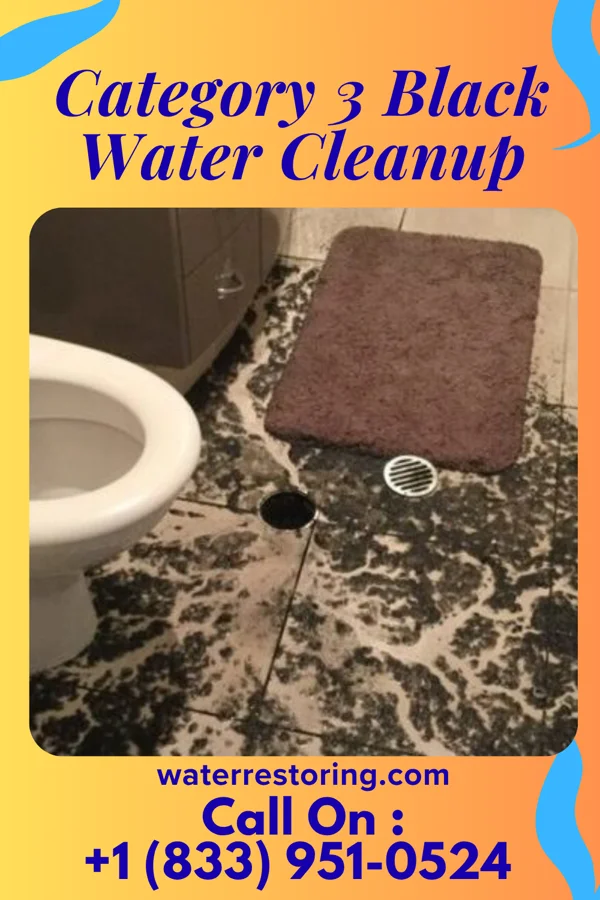 Category 3 Black Water Cleanup in Sun City, KS