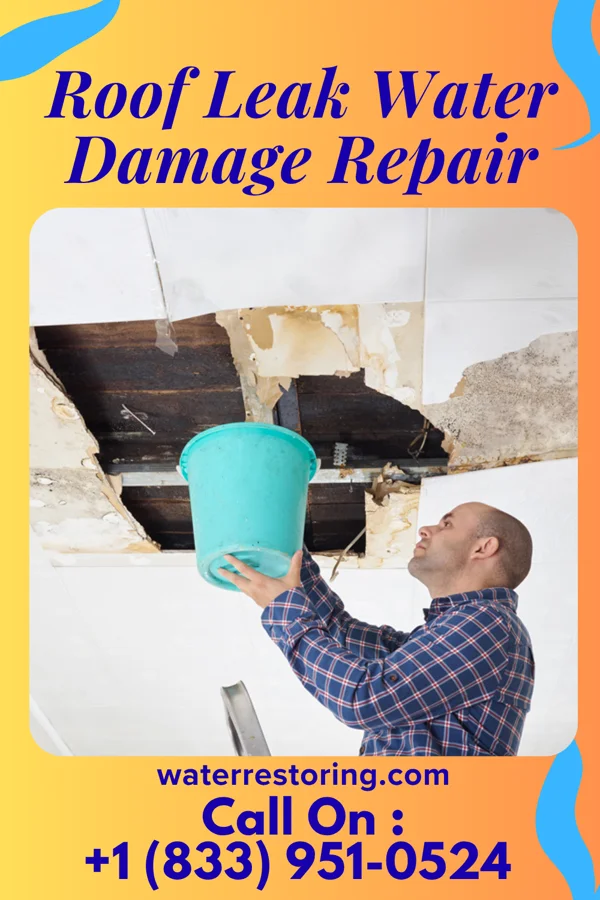 Roof Leak Water Damage Repair in Sun City, KS