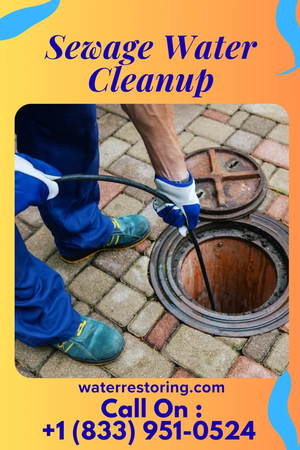 Sewage Water Cleanup in Sun City, KS